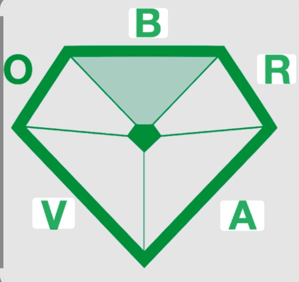 logo bravo